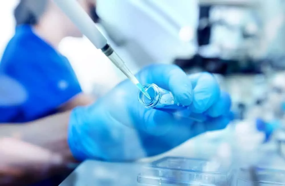 Embryo Transfer