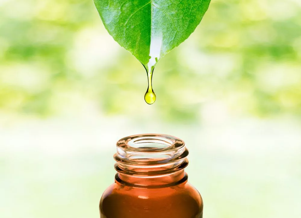 Herbal essence. Alternative healthy medicine.