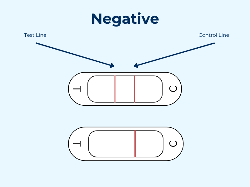 How Do I Read An Ovulation Test? ELITE IVF Global IVF Clinic
