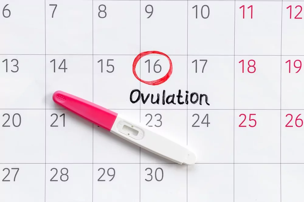 How Do I Read An Ovulation Test? ELITE IVF Global IVF Clinic